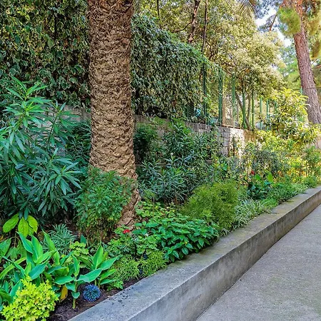 Apartamento New! Luxury Dona